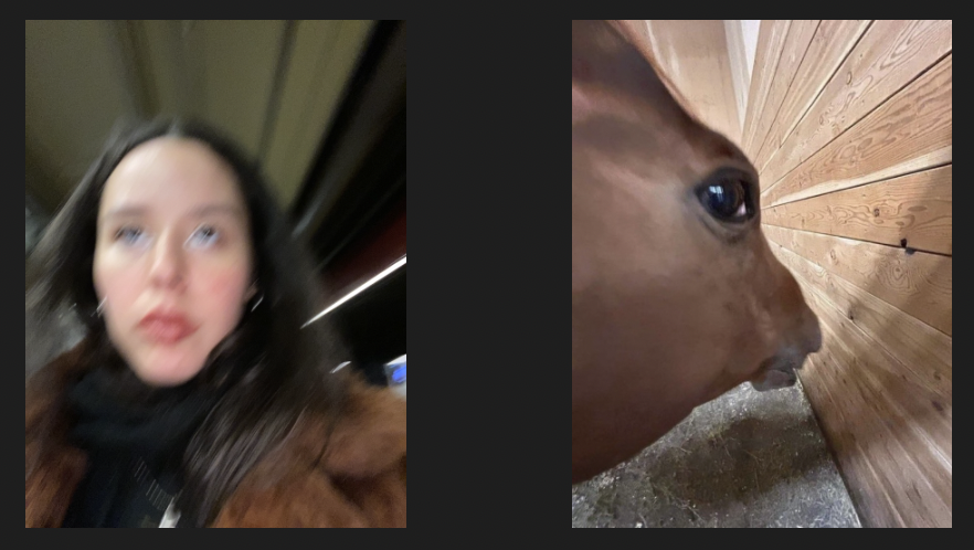 a screenshot of Claudia next to a silly looking horse